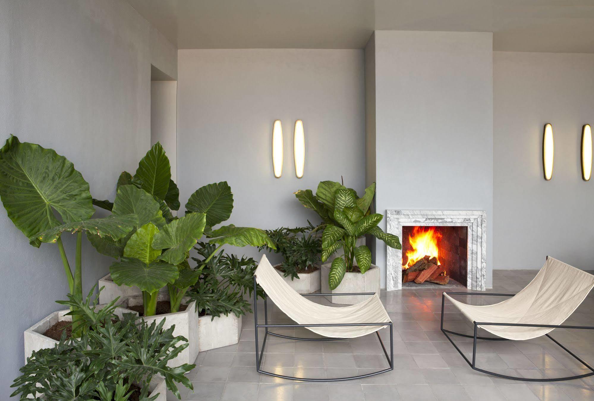 Casa Habita, A Member Of Design Hotels Guadalajara Ngoại thất bức ảnh